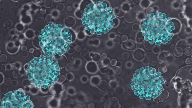 Coronavirus infezione delle cellule viste al microscopio del laboratorio