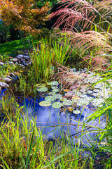Kleiner Teich im Garten © LHJ PHOTO