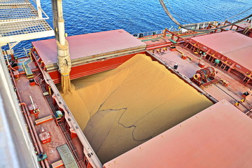 Cargo terminal for loading grain cargo by shore cranes. Port Tacoma,WA, USA. October, 2019.