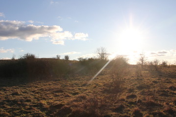 landschaft