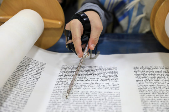 Boy Hand reading the Jewish Torah at Bar Mitzvah. Torah reading hand is a sacred tool used to point to the text during reading in the Torah scroll. 