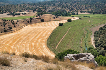 Fototapeta premium Campos de Castilla la Mancha