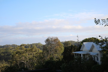 Fototapeta na wymiar Picketts Valley in New South Wales, Australia