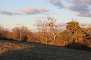 Naklejka premium landschaft