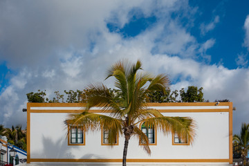 casa bianca con palma, hotel in paese tropicale