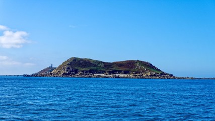 Fototapeta premium île Bono, Archipel des Sept-Îles, Perros-Guirec, Côtes-d'Armor, Bretagne, France