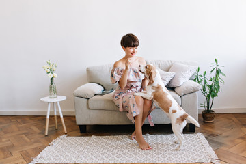 Pretty lady with shiny hair playing with beagle dog spending time at home after work. Indoor...