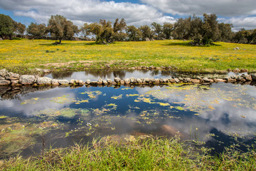 La laguna de la dehesa en Extremadura