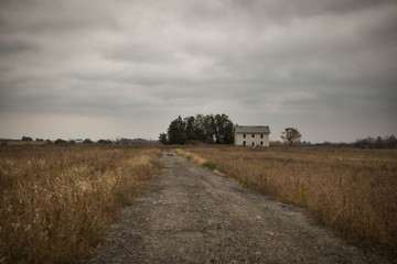 Fototapeta premium Abandoned house in dry field
