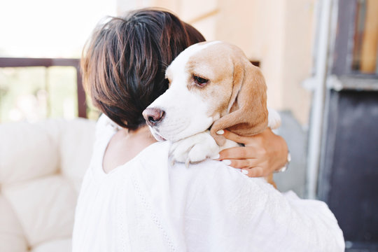 Close-up Portrait Of Sad Beagle Dog Looking Away Over Shoulder Of Brunette Girl. Woman In White Attire With Short Brown Hair Holding Big Puppy And Carrying Him Home.