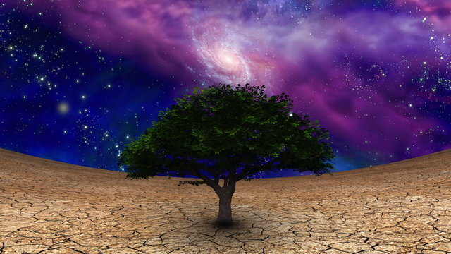 Surrealism. Green tree of life in arid land. Galaxy in night sky