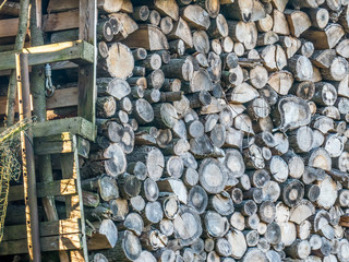 Altes abgelagertes und trockenes Brennholz