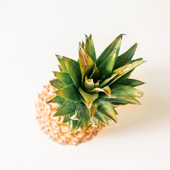 Top Green Leaves of a Pineapple on White Background