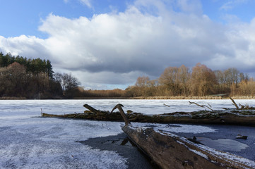 winter landscape, a frozen lake among the trees, logs in the foreground.