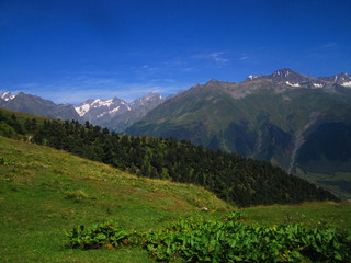 Mountain landscape of Svaneti on bright summer sunny day. Mountain lake, hills covered green grass on snowy rocky mountains background. Caucasus peaks in Georgia. Amazing view on wild georgian nature