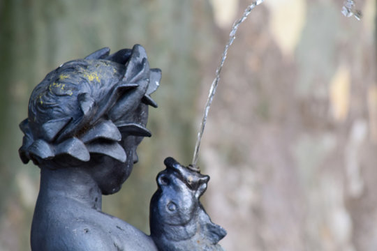 El querub&iacute;n y el pez