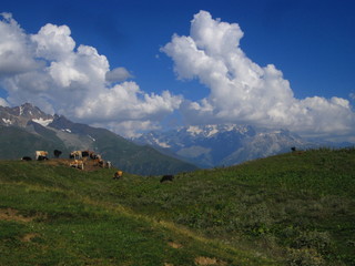 Mountain landscape of Svaneti on bright summer sunny day. Mountain lake, hills covered green grass on snowy rocky mountains background. Caucasus peaks in Georgia. Amazing view on wild georgian nature