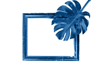 Blue leaves Monstera .Photo frame composition.