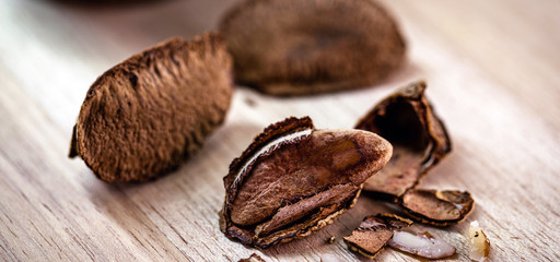 Brazil nut, with shell. Culinary ingredient from brazil.