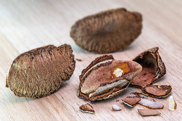 details of a Brazil nut still closed, with shell. Brazil nuts for consumption. Chestnut most consumed in latin america.