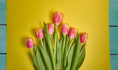 Pink tulips on a yellow background and a wooden turquoise canvas. spring card. Valentine's Day. March 8