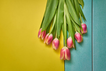 Bouquet of tulips on a yellow background and a turquoise tree. Spring card. Valentine's Day. March 8