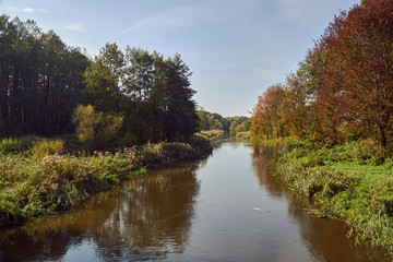 forest and meadow on the River during autumn in Poland.