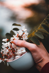 Person holding a wonderful cup and flower in his hand. POV shot.