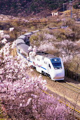 Chinese high-speed train crosses the Juyongguan Great Wall in Beijing.China Train Crosses Beijing's Juyong Mountain.