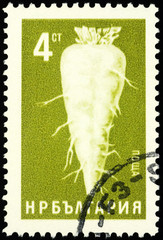 Sugar beet on postage stamp