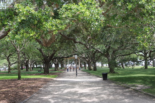 Charletson Walks