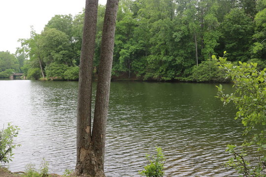 Duncan Park