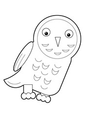 Cartoon animal bird flying owl - coloring page - illustration