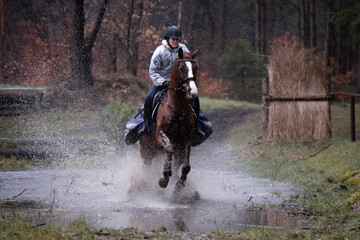 Reiterin galoppiert mit ihrem Pferd im Vielseitigkeittraining durch einen Wassergraben