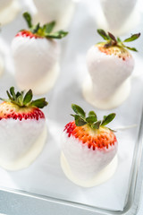 Chocolate dipped strawberries