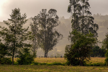 Misty sunset in the central Andean mountains of Colombia