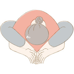 ヨガ　女性　真珠貝　ポーズ