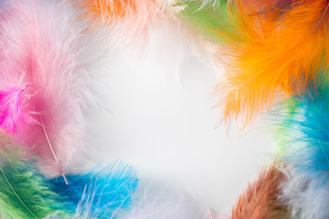 Frame of multi-colored light feathers on a white background.