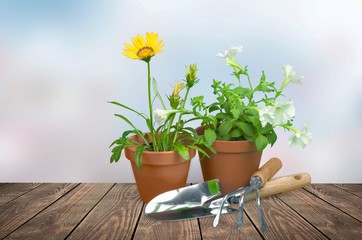 Gardening.