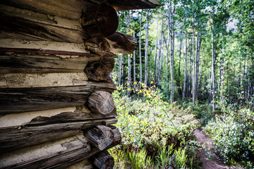 log cabin in aspen forest