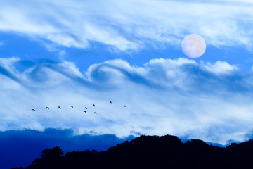 Naklejka na ściany i meble Moon Bird Clouds Fantasy