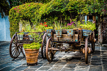 flower pots and an old wagon - obrazy, fototapety, plakaty