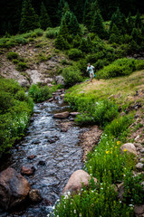 fly fishing a small mountain stream