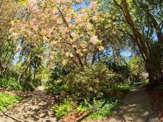 Finnerty Gardens
