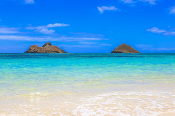 Fototapeta premium hawaii