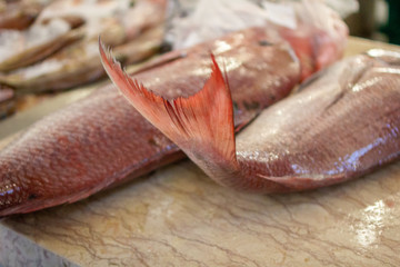 FUNCHAL, MADEIRA, PORTUGAL