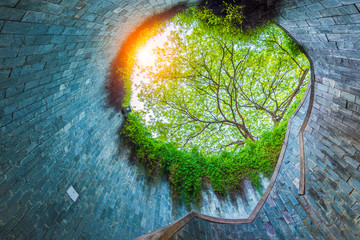 Fort Canning Park on Fort Canning Hill, Singapore. - obrazy, fototapety, plakaty