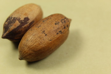 nueces