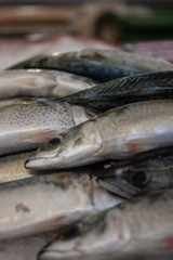 FUNCHAL, MADEIRA, PORTUGAL