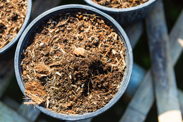 Mixed soil in plant pot, prepare for grow plant, healthy soil, outdoor day light